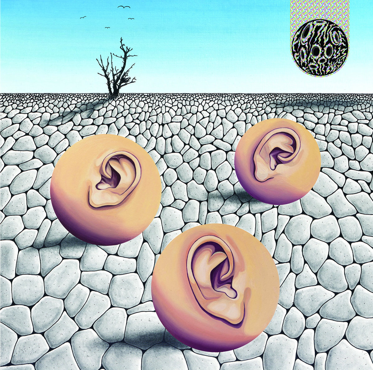 placeholder image sq