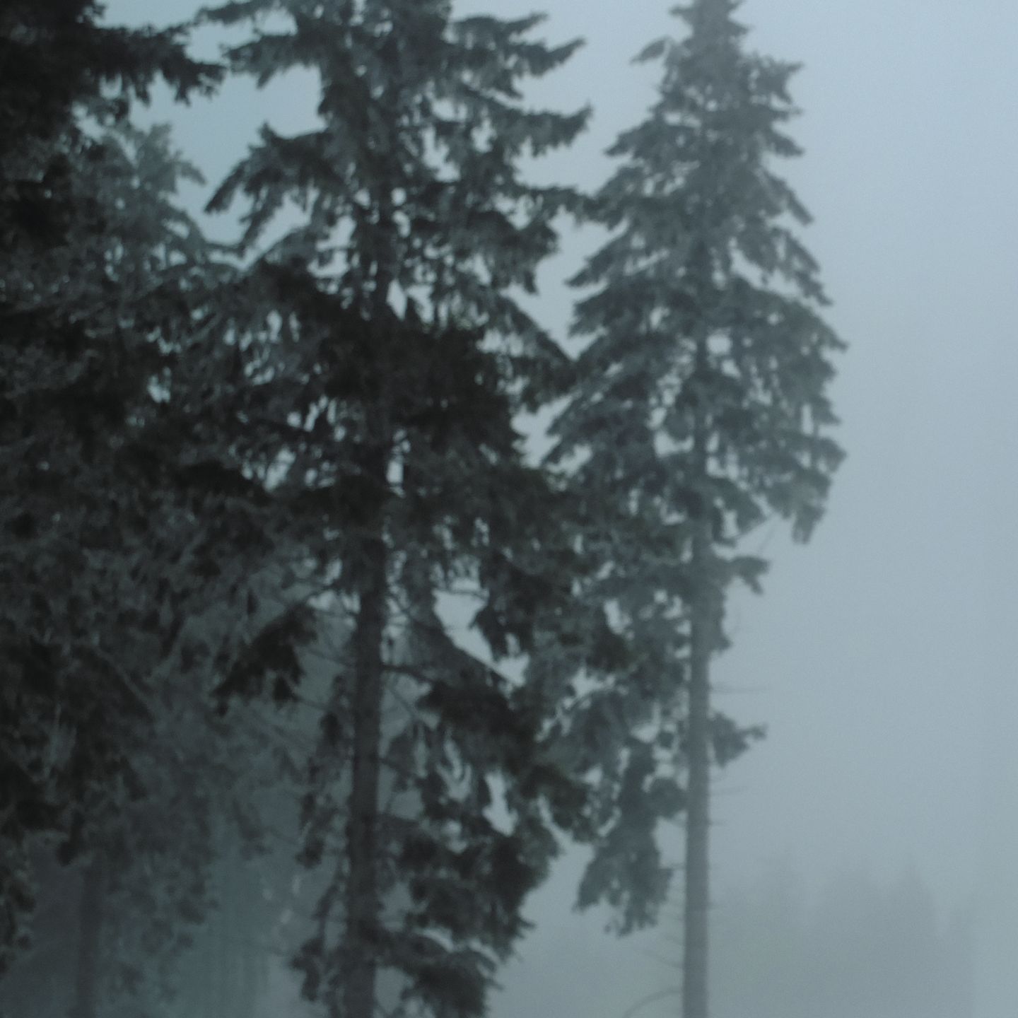 placeholder image sq